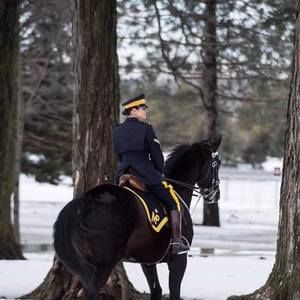 Meet your Posher, Superg